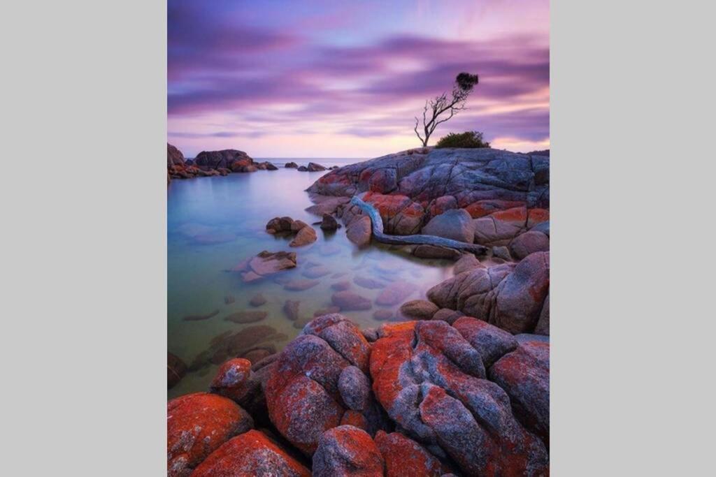 The Tin Shed Couples Accommodation At Bay Of Fires Binalong Bay Extérieur photo