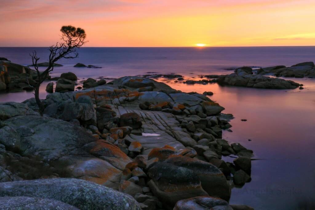 The Tin Shed Couples Accommodation At Bay Of Fires Binalong Bay Extérieur photo