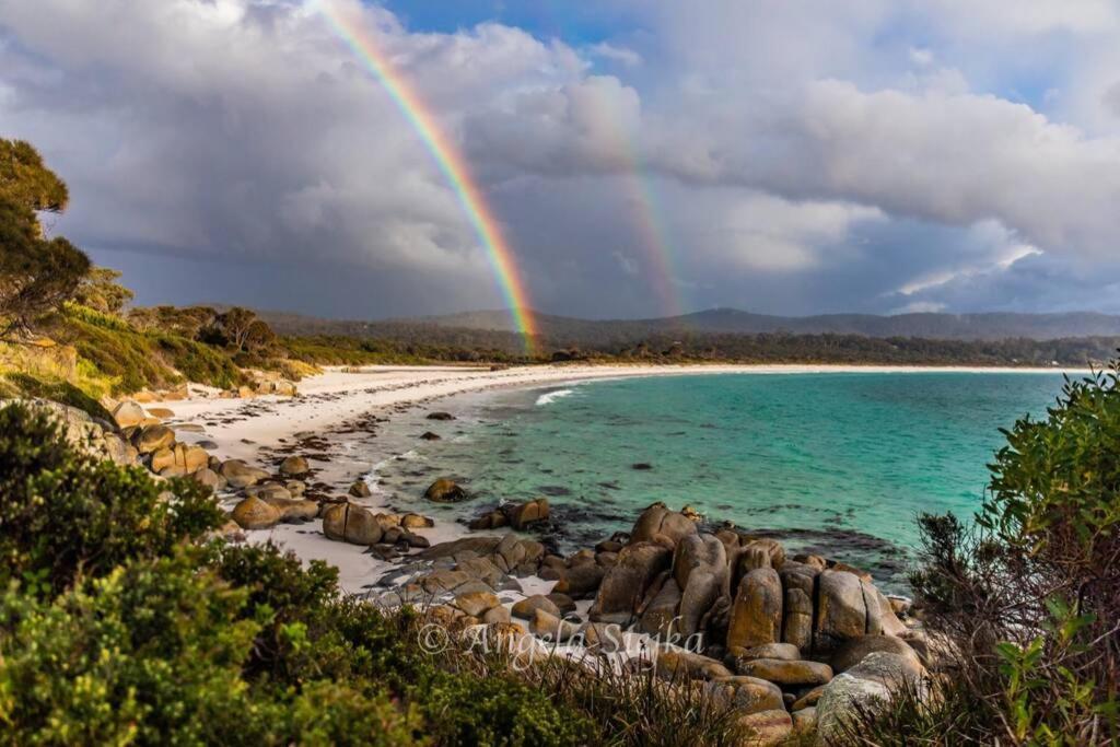 The Tin Shed Couples Accommodation At Bay Of Fires Binalong Bay Extérieur photo